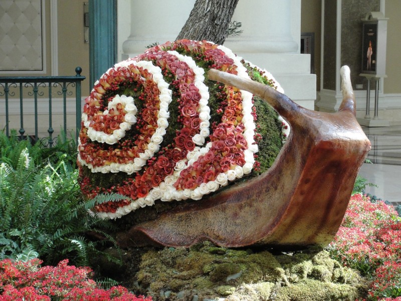 Bellagio - Conservatory Display 5